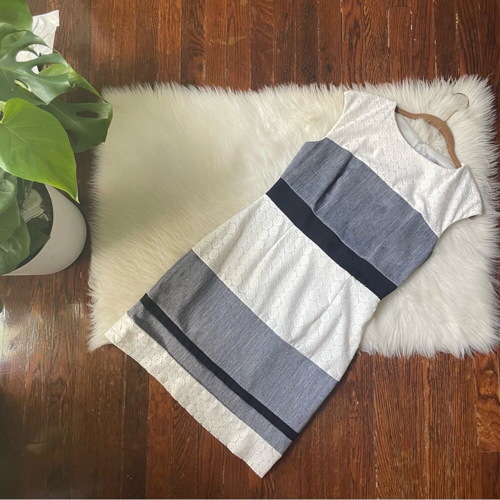 Textured Striped Sheath Dress Sleeveless by Sandra Darren Size 8